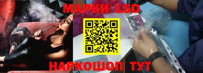 мяу мяу мука Кандалакша