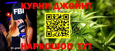 мяу мяу мука Кандалакша