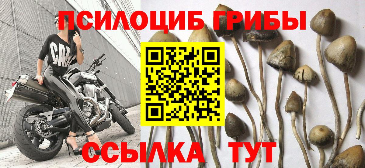 Меф МЯУ МЯУ   ГАШИШ  Лиски  Вход с VPN  Каннабис  МЕТАДОН 
